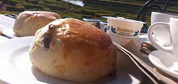 Scones met clotted cream