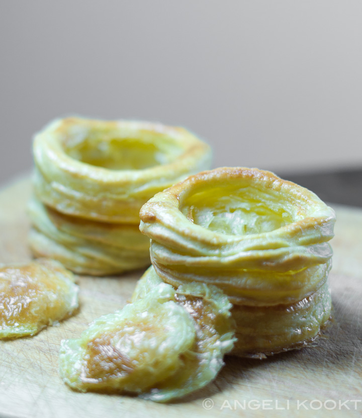 Ragoutbakjes