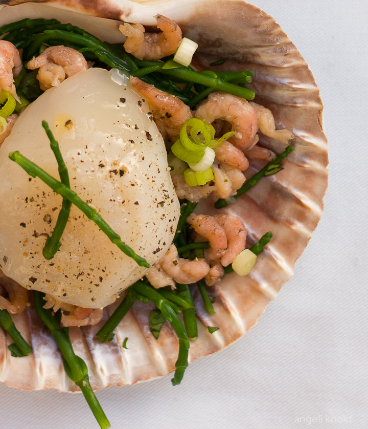 Coquilles-sint jakobsschelp-scallops met garnalen uit de oven