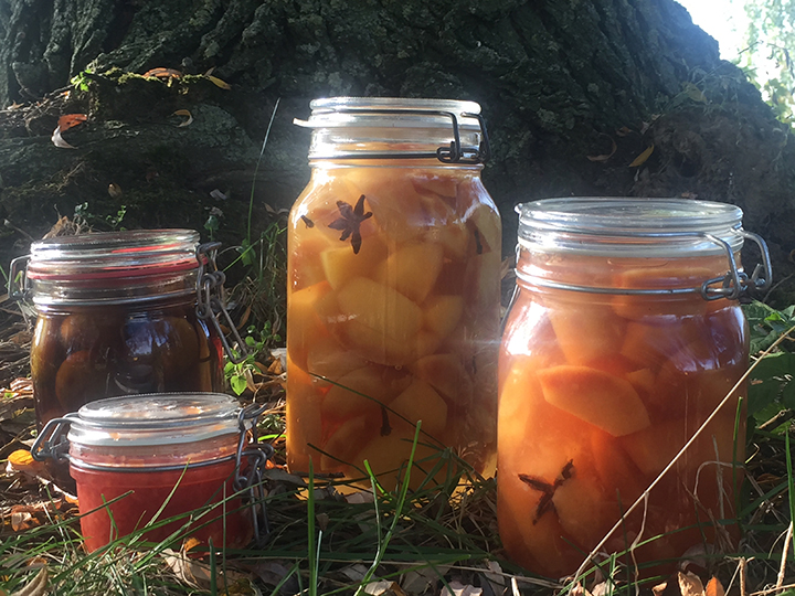 Kweeperen en vijgen – siroop en jam