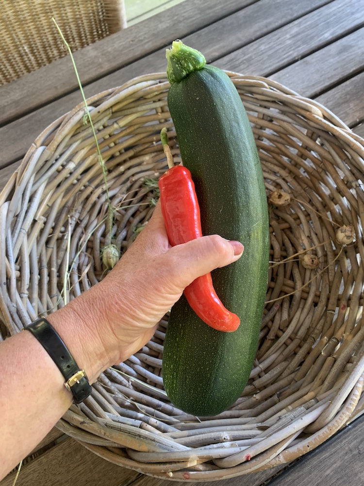 moestuin op op tafel courgette en cayennepeper